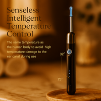 The Precision EarScope